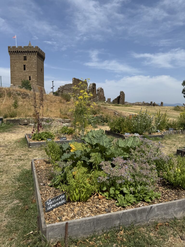 La fortezza nel cielo: perché Polignac cambierà il tuo modo di vedere i castelli