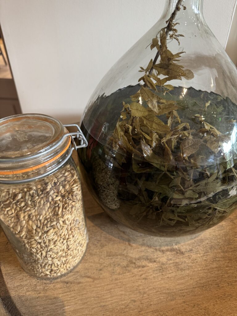 Home Distillers a Polignac: degustazione della Liqueur de Verveine