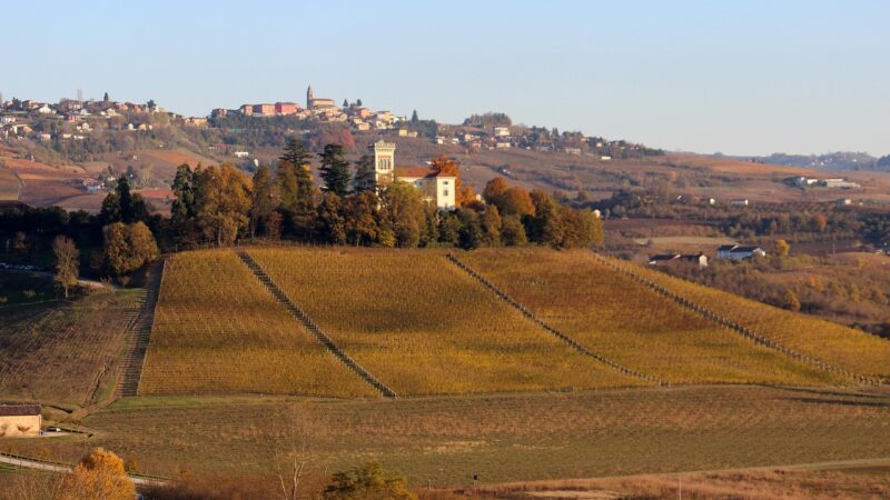 Weekend nelle Langhe in autunno: tra il foliage dei vigneti, i borghi del Barolo e il profumo di tartufo ad Alba