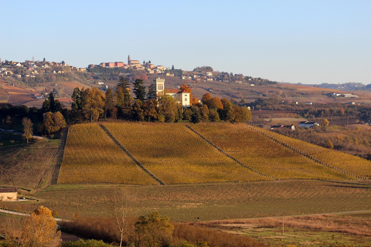 Weekend nelle Langhe in autunno: tra il foliage dei vigneti, i borghi del Barolo e il profumo di tartufo ad Alba