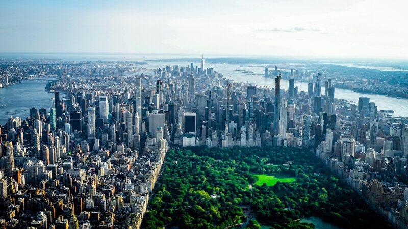 New York in autunno: il fascino del foliage a Central Park e i quartieri di tendenza da scoprire a piedi