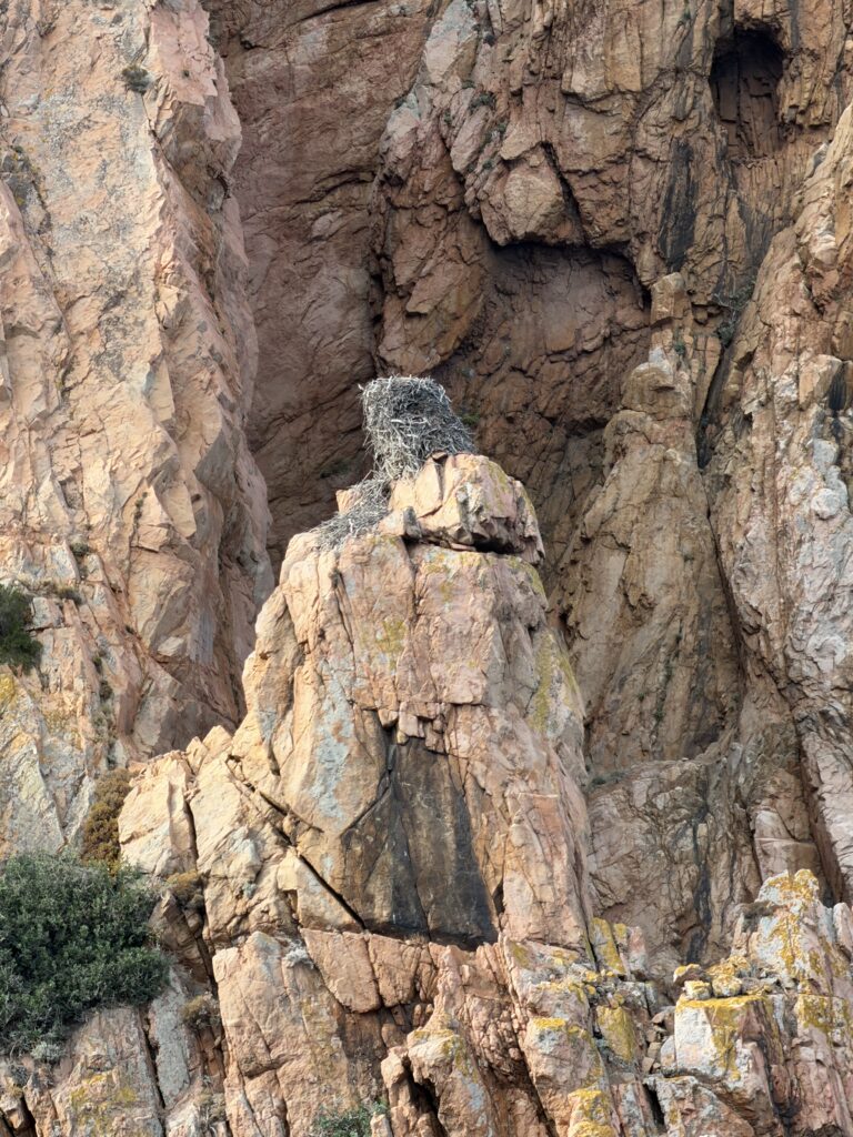 Gita in barca da Porto a Scandola, Girolata e le Calanques di Piana: la Corsica segreta