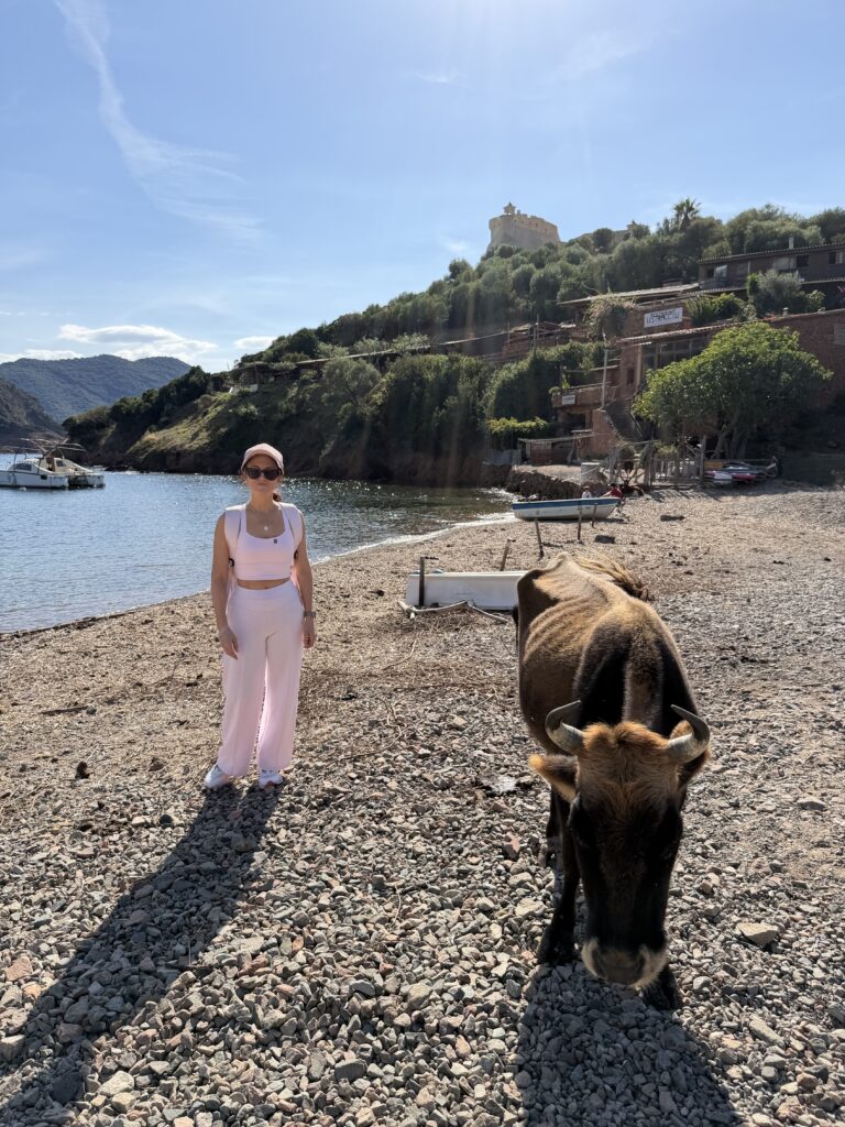 Gita in barca da Porto a Scandola, Girolata e le Calanques di Piana: la Corsica segreta