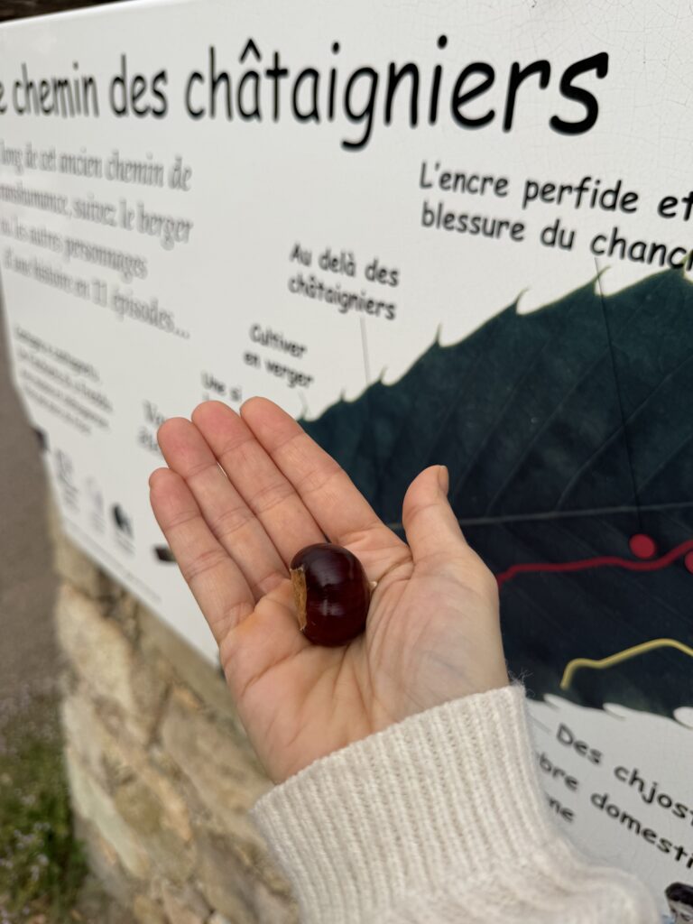 Tra i castagneti di Évisa e la Foresta di Aïtone: la Corsica montana dell'autunno